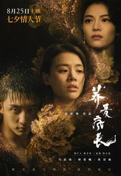 高中毕业证号